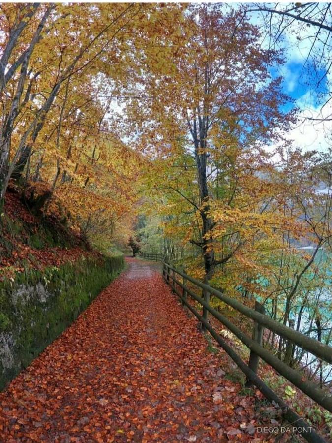 Colori Nel Parco Appartement Cesiomaggiore Buitenkant foto